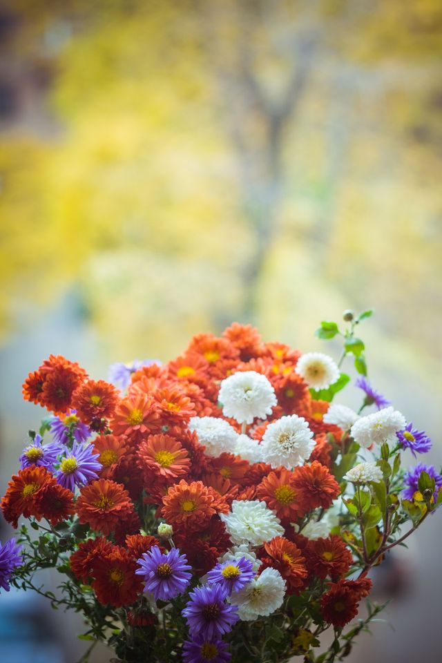 Composition florale aux tons bleus et violets